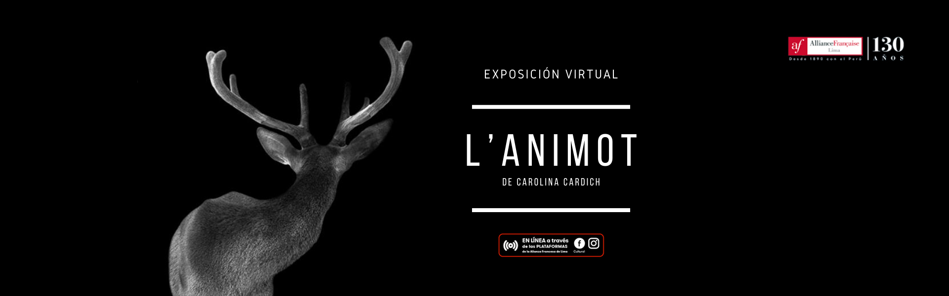 banner web expo lanimot